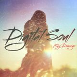 Digital Soul