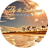 M-Van - Fly to Summer
