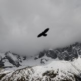 Krusseldorf :: Landscapes & Hymns