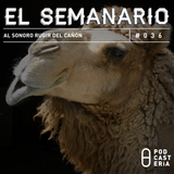 Semanario No. 36 - Al Sonoro Rugir del Cañón: Cámara Senadores, Carmen Salinas, Cuauhtémoc Blanco.
