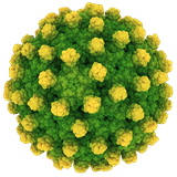 A Hepatitis minálunk - tematizált rádióműsor - Tilos Rádió 2014.08.28.