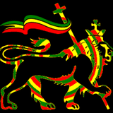 Vibes Inna Reggae Style