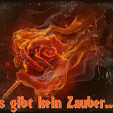 Es gibt kein Zauber...