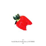 Sochi Beach Seduction by Guydee
