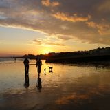 Sunday Session on 1BrightonFM - December 2015