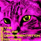 Graz - The Feline Defragmentation Mixtape