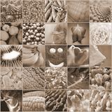 EverClectic 3