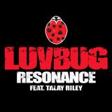 Gully's LuvBug Interview