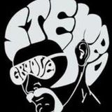 STEREOGROOVE Tech House - DtDJ - Feb13