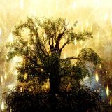 APT/The Fountain- Posh One