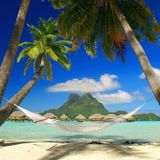 Paradise Party 2 - 09.11.12 - 08