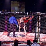 Mixed Martial Arts..