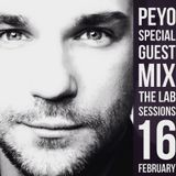 THE LAB SESSIONS on DNB Radio Brazil Special Guest Mix PEYO
