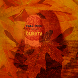 Fall Mind (2013)