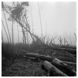 Coastal Defences