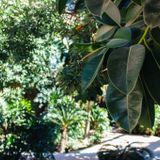 Monday Morning Mixtape 168