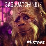 Mixtape >> Sasquatch Festival 2013 Mix