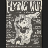 flying nun 101