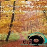Trance Divine Way #002 - Mixed by Arman Dinarvand (19.9.2014)