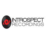 Introspect Recordings 07 DJ Kalikaina Electro Vibrator Mix