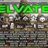 PAU LUARD Vs JOAQUIN LOPEZ @ SELVATEK MUSIC FESTIVAL 2014