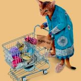 Kekya - Hobocat