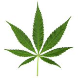 ROLL 2 UP