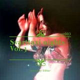 Svarttaxi Nights Vol.3