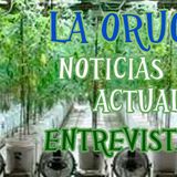 La Oruga Azul - Lunes 15 de Abril 2013