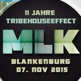 Miss_MissGeSchick @ 11 Jahre Treibhouseeffect, MLK Blankenburg 07-11-2015