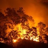 de Hessejung@BunkerTV: Steppenbrand 14.07.2012 01:00