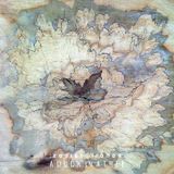 A Duck in a Tree 2015-08-01 | The Memory Echo