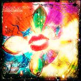 raDIOcosmos - XXV - Des voyages et Des Vagues D'Amour
