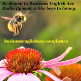 Business English Ace Radio - Episode 002