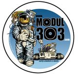 Special Brodcasting of German EMusician Frank Tischer on www.modul303.com