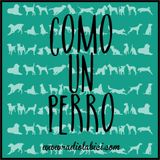 Como Un Perro 17 de octubre