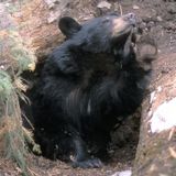 Exit Hibernate Mode