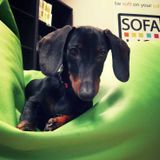 saturday with sofa ..... jazz bossa brasil leegas selection(23-01-16)