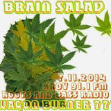 BRAIN SALAD MIX Roots & Bass Radio (KROV FM 91.1) 7.11.14