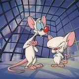 Vous reprendrez bien un peu d'purée #23 - Les rats passent, les homos partent et les haies scellent