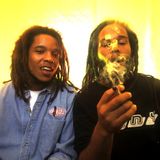 Dubwise Garage 420 Mega Mix