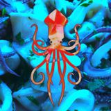 Chilled Calamari