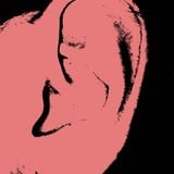 Nibeye's Progressive Women - vol. 2