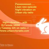 Dj female rabbit-Night vibrations #06 for Urban city radio