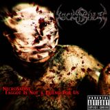 NecroSadist (Rus) - Faggot Is Not a Friend For Us '2013 (Full Album)