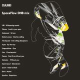 Djubei - Space Flow