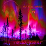 aurora vibes 79