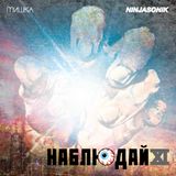 Keep Watch Vol. XI: Ninjasonik
