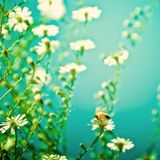 Seriously Sunny Sounds - Selected by S.o.a.P.