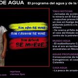 Consecuencias de los transgénicos - Ojo de agua